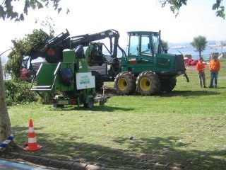 JARDINERIA (14)